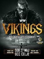 VFN Vikings