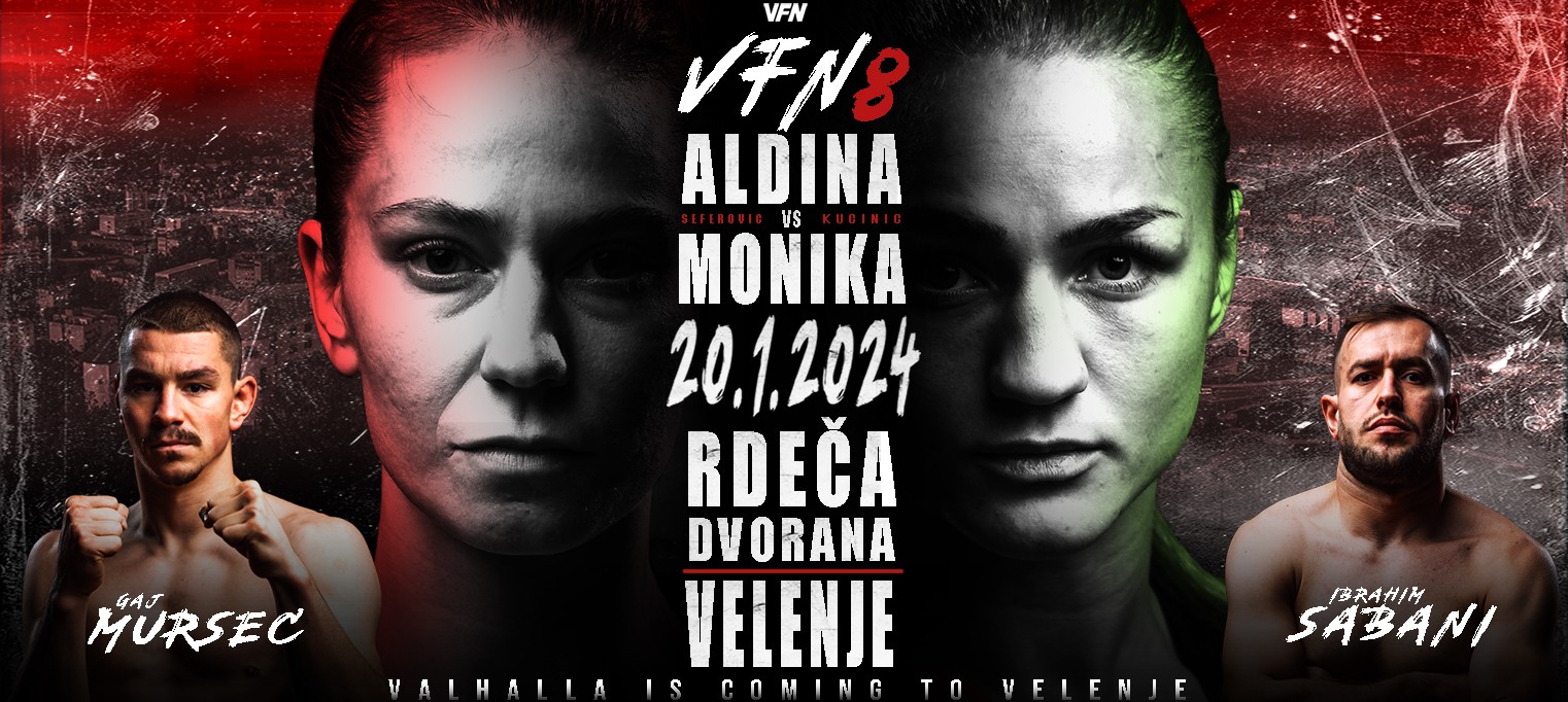 VFN 8 - Valhalla Fight Night