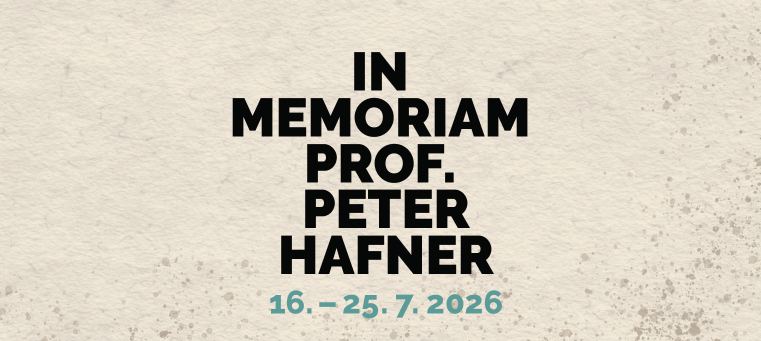 Festival In Memoriam prof. Peter Hafner #17