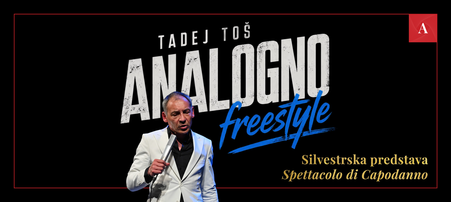 Silvestrska predstava: Tadej Toš - ANALOGNO freestyle